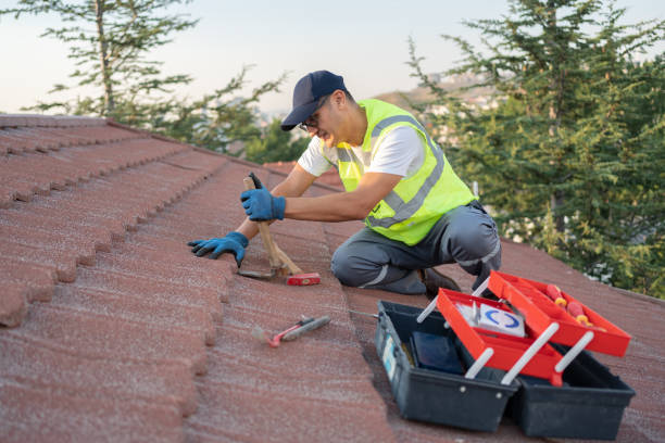 Best Roof Leak Repair  in Webb City, MO