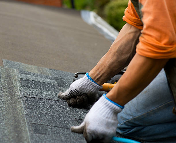 Best Residential Roofing Contractor  in Webb City, MO